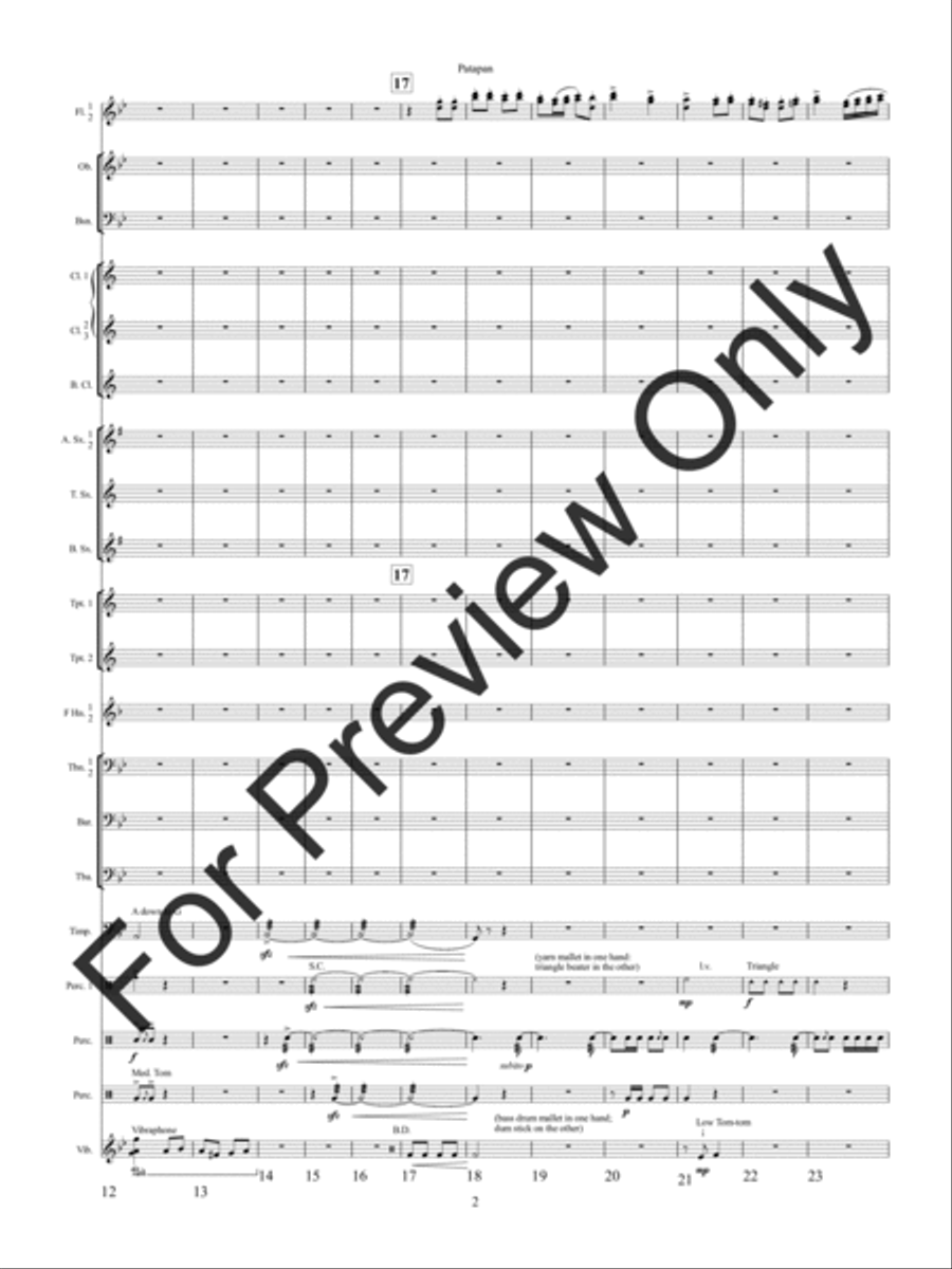 Patapan (Score) Concert Band scores gallery preview page 5