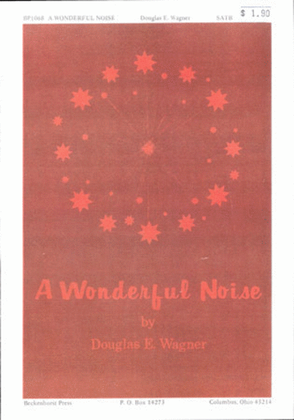 Book cover for A Wonderful Noise