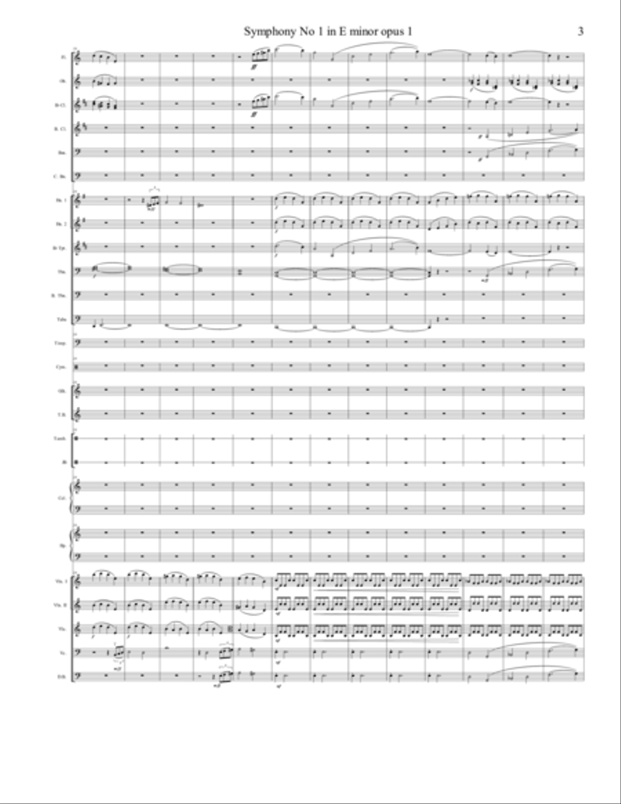 Symphony No 1 in E minor 