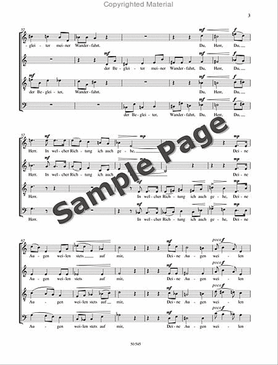 Cusanus Meditation Choir scores gallery preview page 3