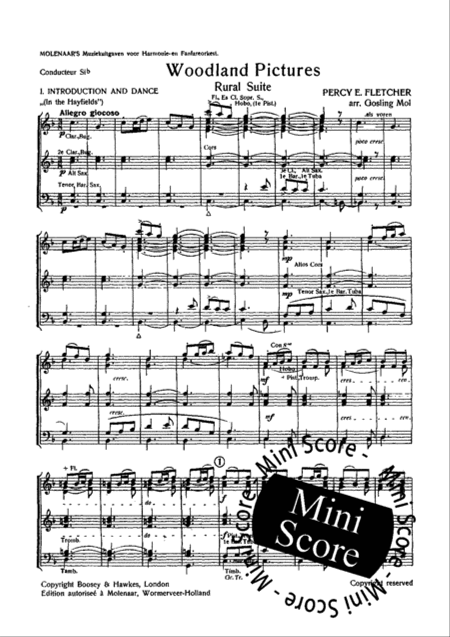 Woodland Pictures Woodland Pictures Concert Band scores gallery preview page 5