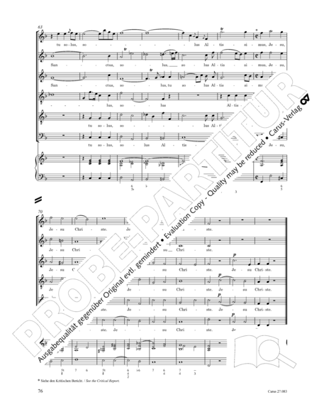 Mass for 16 voices (Missa a 16 voci) image number null
