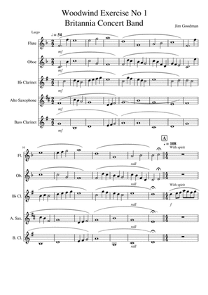 Quintet for Woodwind: Flute, Oboe, Clarinet, Alto Sax, Bass Clarinet