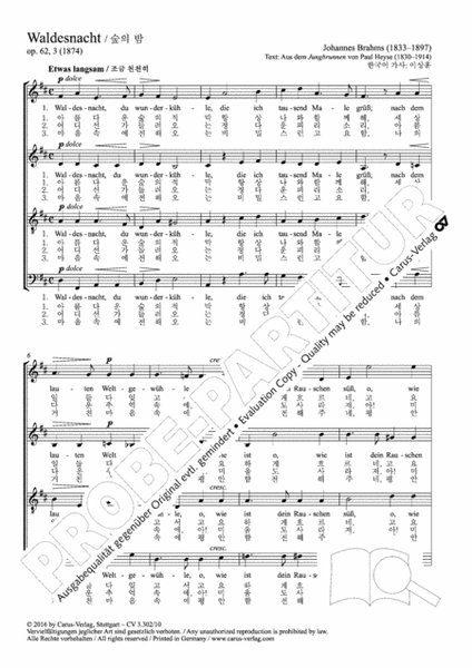 Brahms: Waldesnacht (koreanisch) image number null