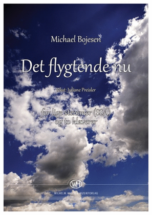 Book cover for Det Flygtende Nu