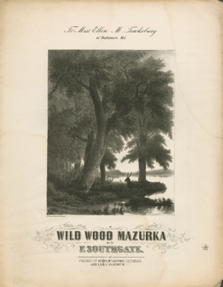 Wild Wood Mazurka