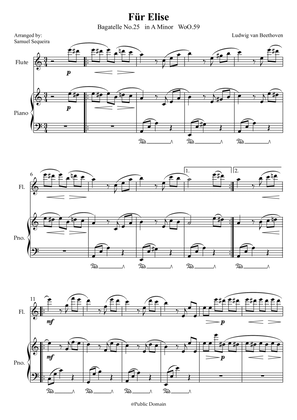 Für Elise (For Elise) - for Flute and Piano accompaniment - with Piano Play along