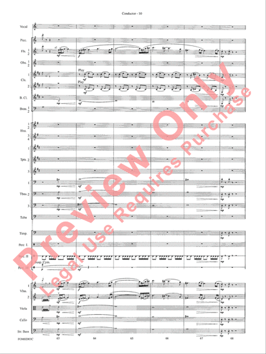 Symphonic Suite from The Lord of the Rings (The Fellowship of the Ring) - Conductor Full Orchestra scores gallery preview page 12