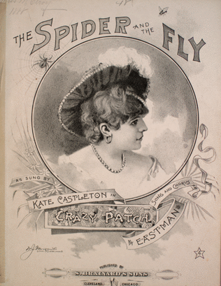 Book cover for The Spider and the Fly. Song and Chorus