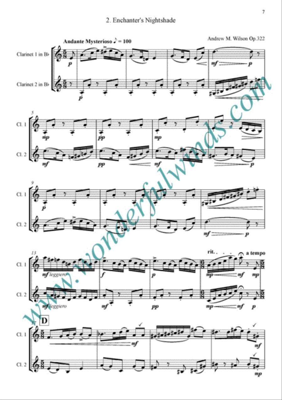 Wild Garden Clarinet Duet scores gallery preview page 3