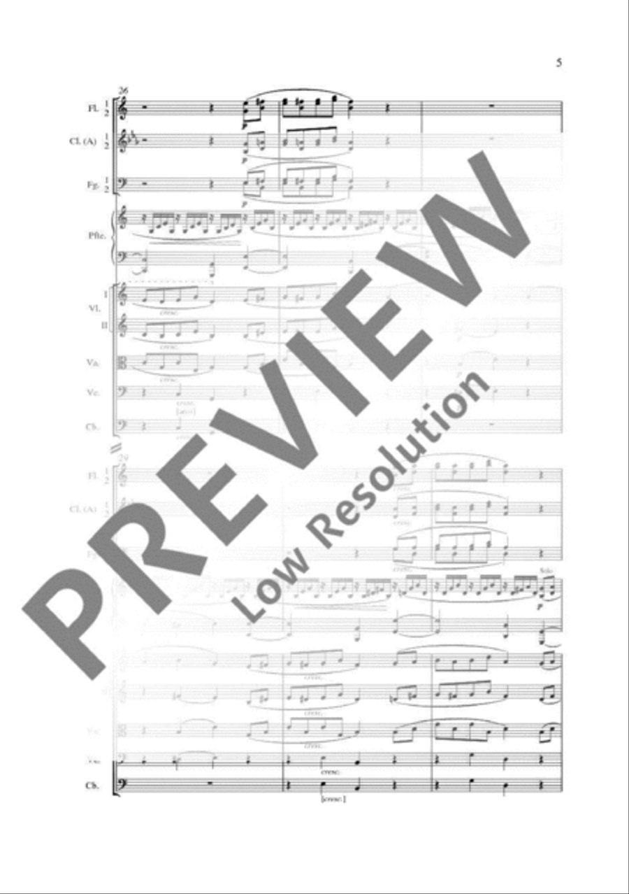 Piano Concerto A minor Orchestra scores gallery preview page 20