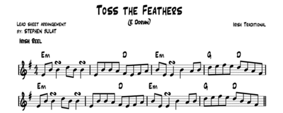 Toss The Feathers (Irish Traditional) - Two lead sheets in original keys of E minor and D