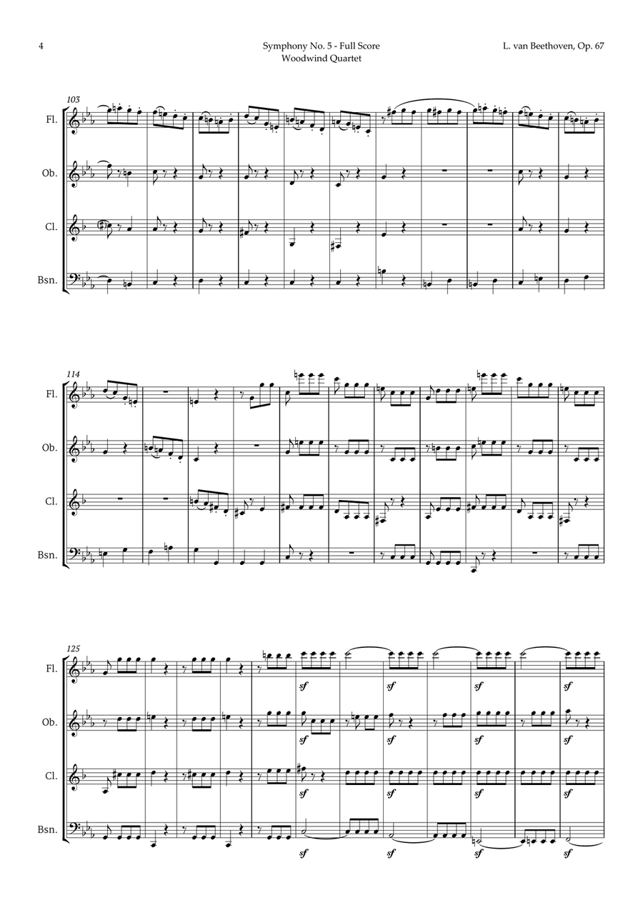 Symphony No. 5 by Beethoven for Woodwind Quartet Woodwind Quartet scores gallery preview page 5