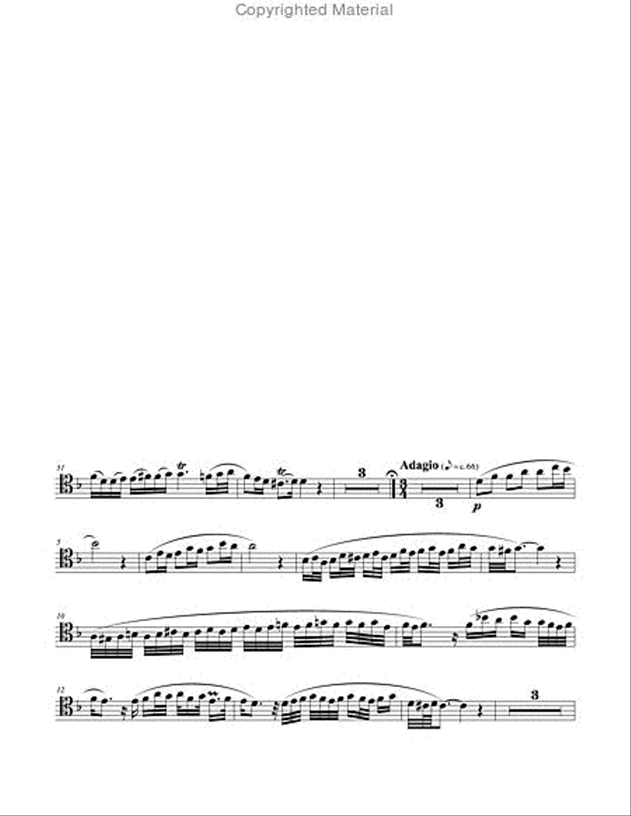 Concerto in D minor for Trombone & Piano Piano Accompaniment scores gallery preview page 3