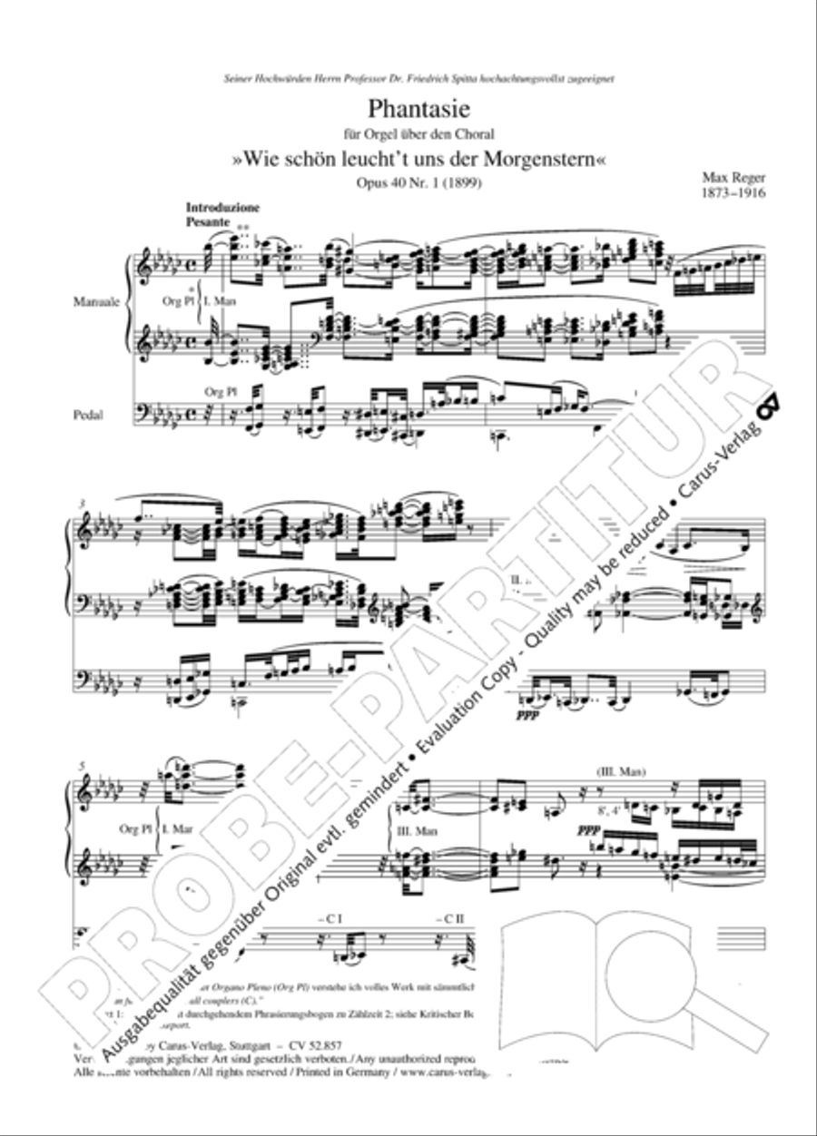Choralphantasie Op. 40 Organ scores gallery preview page 3