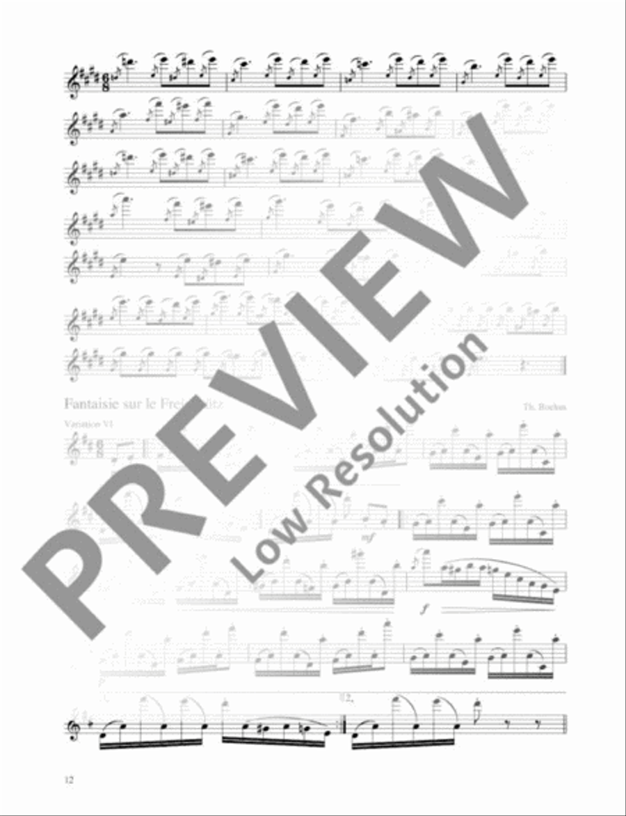 How I Stayed in Shape Flute scores gallery preview page 13