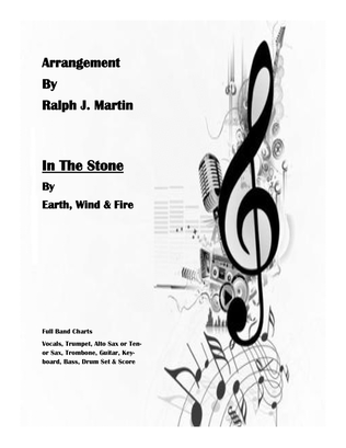 Book cover for In The Stone