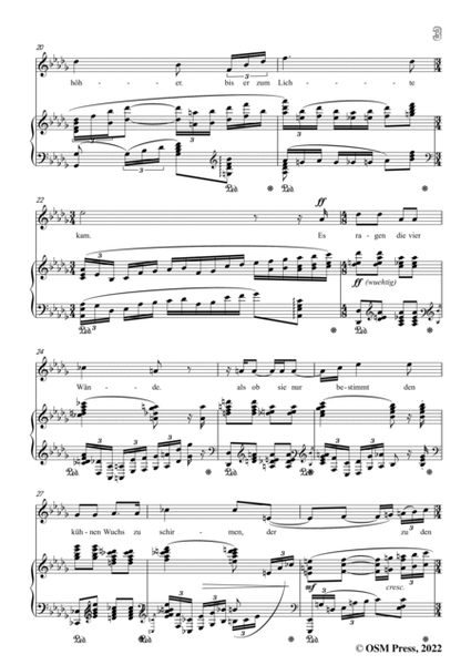 Richard Strauss-Die Ulme zu Hirsau,in b flat minor,Op.43 No.3 image number null
