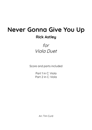 Book cover for Never Gonna Give You Up