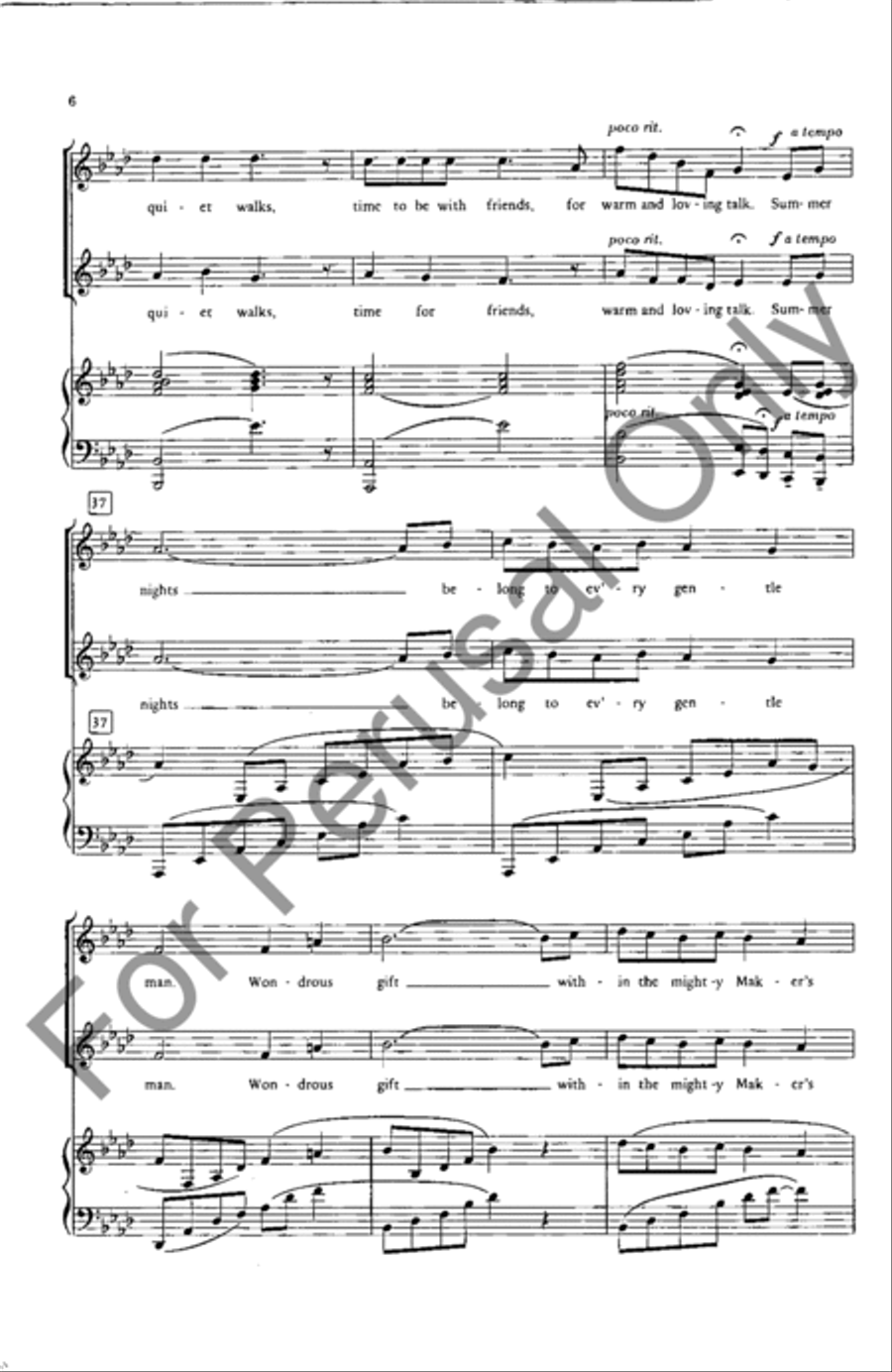 Summer Nights Summer Nights SA scores gallery preview page 6