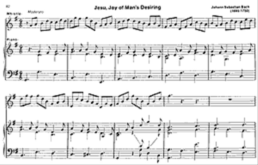 Tin Whistler's Companion Tin Whistler's Companion Flute scores gallery preview page 5