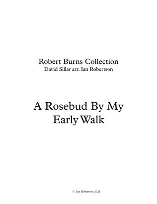 A Rosebud By My Early Walk (Burns)