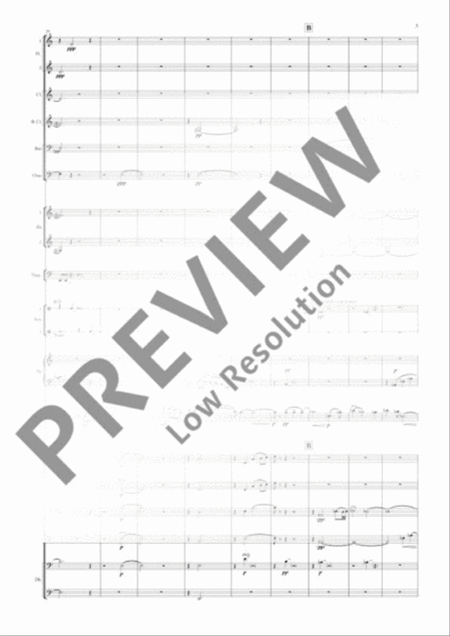 Double Bass Concerto Double Bass Concerto 3-Part scores gallery preview page 8