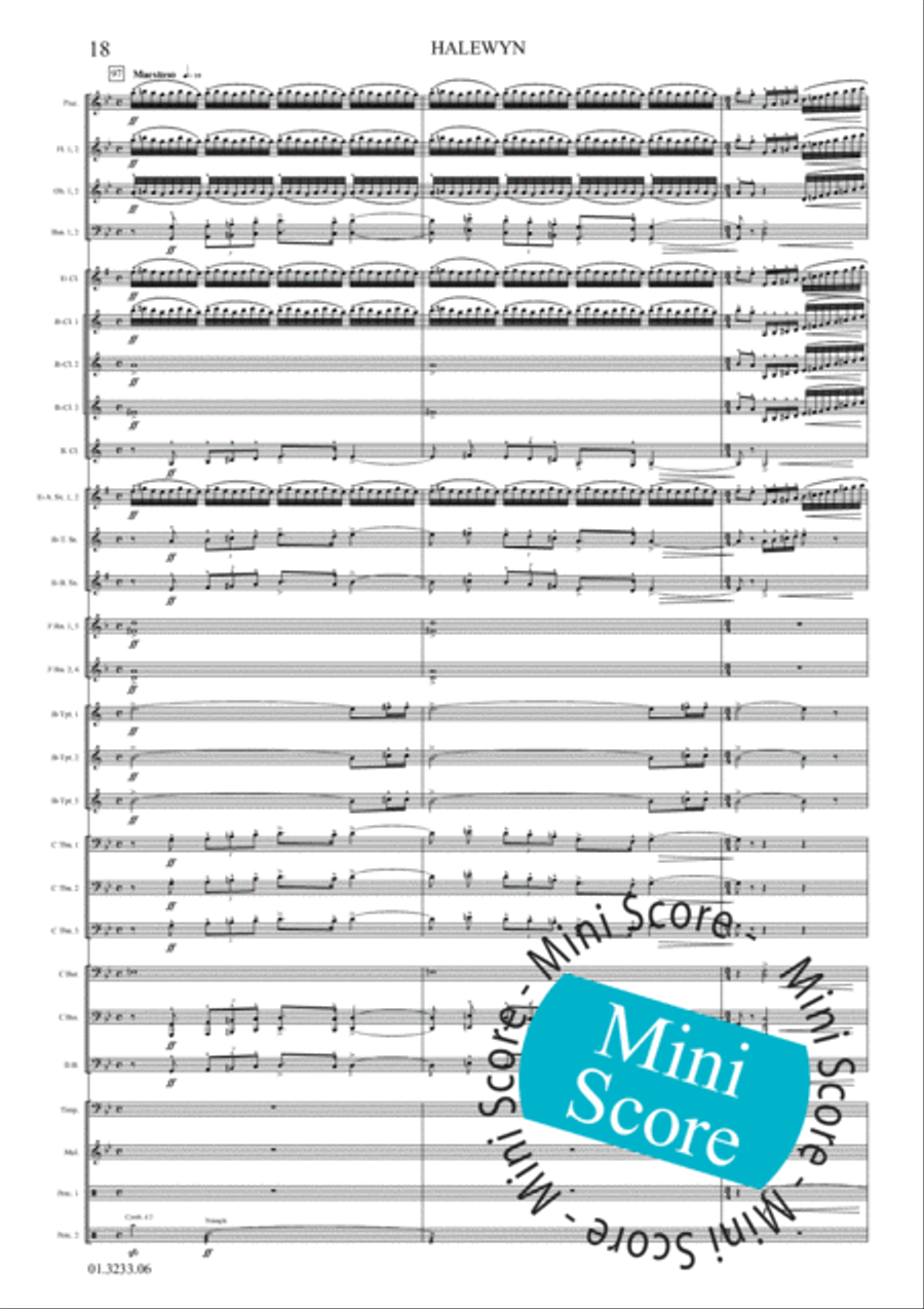 Halewijn Concert Band scores gallery preview page 24