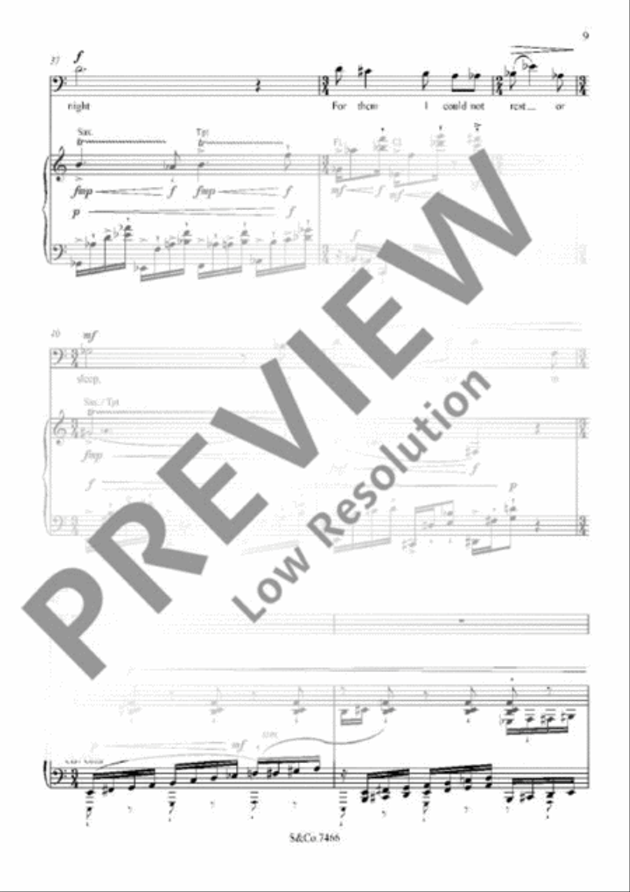 The Torn Fields The Torn Fields Bassoon scores gallery preview page 13