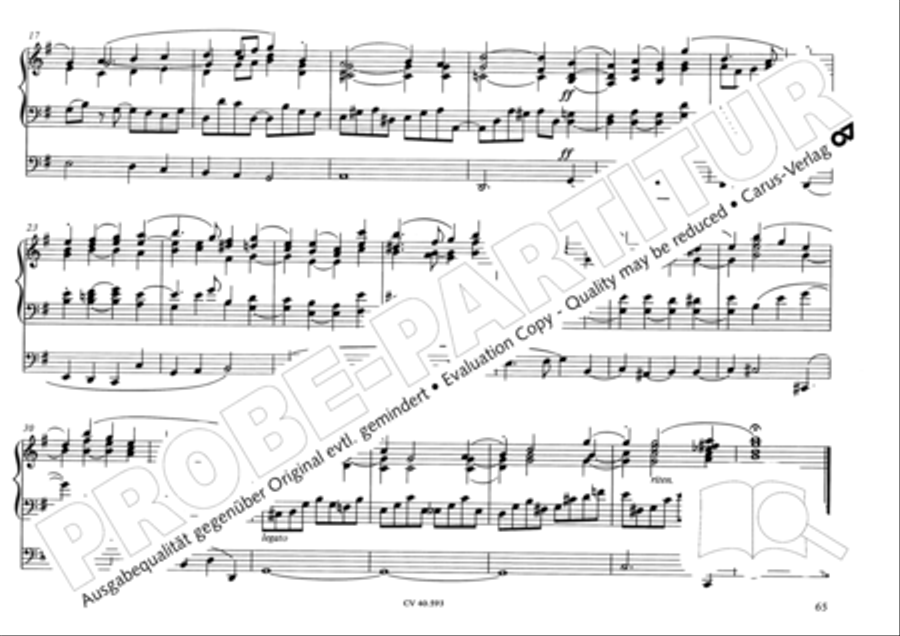 Free Organ Music from the Romantic Period, Vol. I (Freie Orgelmusik der Romantik, Band I) Organ scores gallery preview page 70