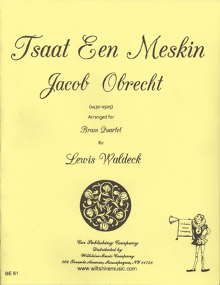 Book cover for Tsaat Een Meskin (Lewis Waldeck)