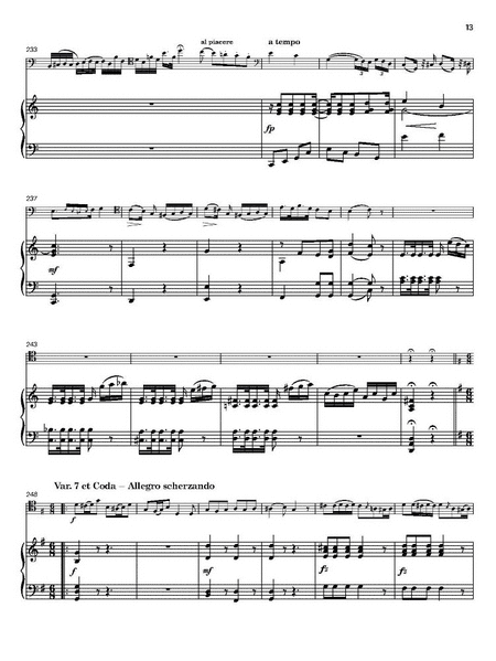 Variations pour le Bassoon