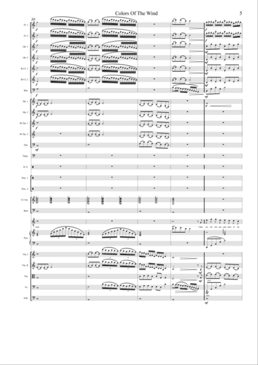 Colors Of The Wind Full Orchestra scores gallery preview page 6