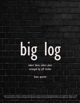 Big Log