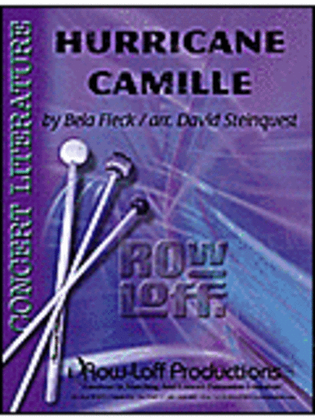 Book cover for Hurricane Camille