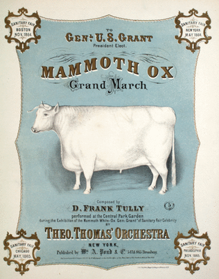 Mammoth Ox; Grand Marc