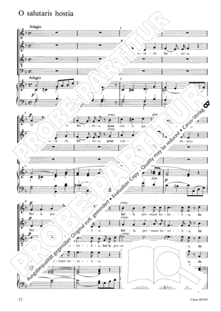 Messe breve no. 7 aux chapelles TB scores gallery preview page 13