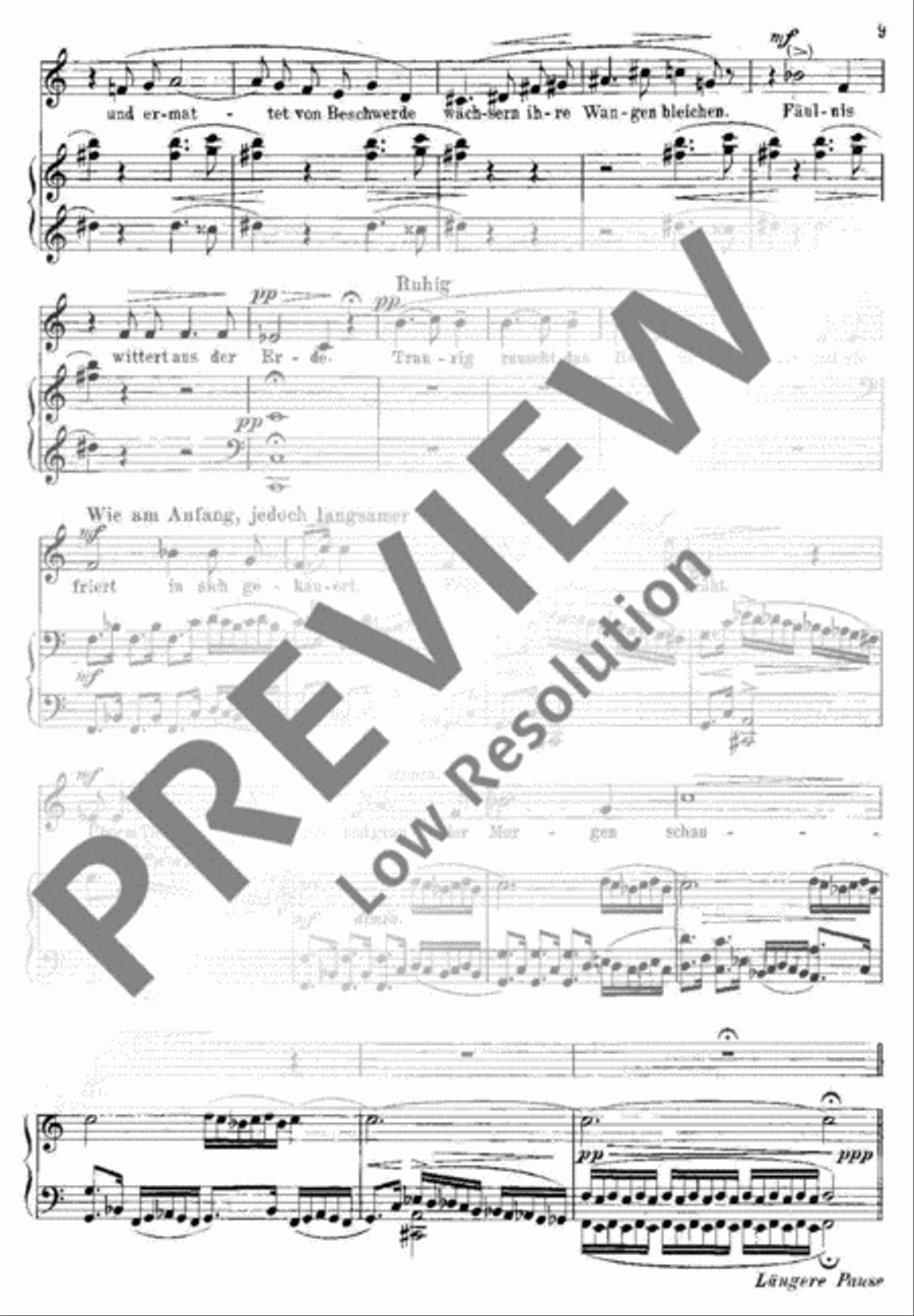 Die junge Magd Flute scores gallery preview page 10