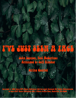Book cover for I've Just Seen A Face