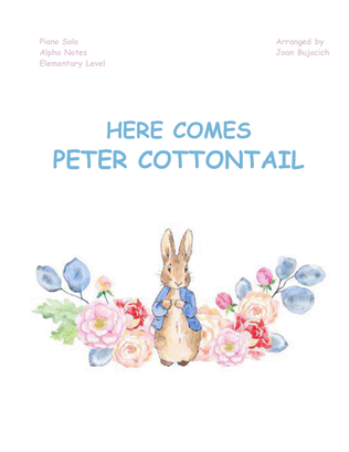 Book cover for Here Comes Peter Cottontail