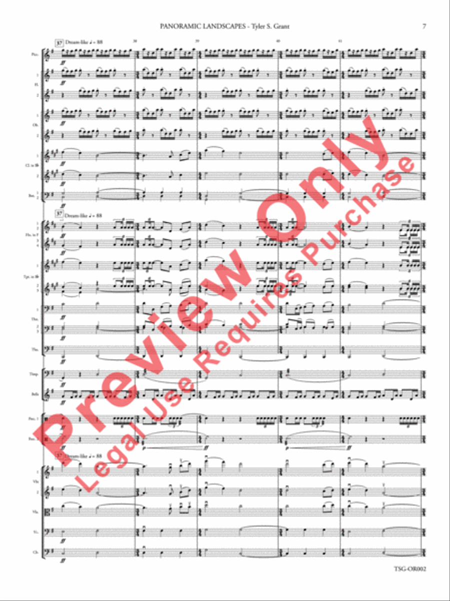 Panoramic Landscapes Panoramic Landscapes Full Orchestra scores gallery preview page 8