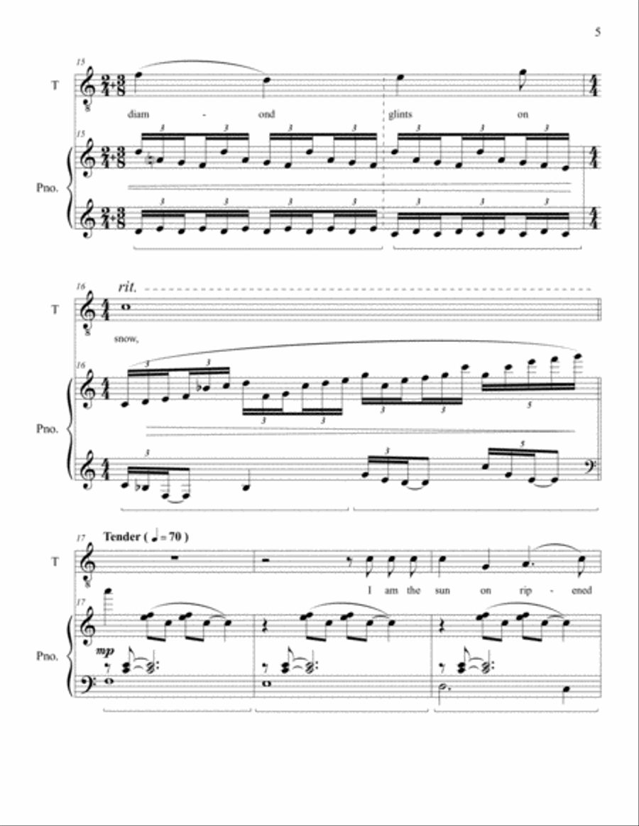 Do Not Stand at My Grave and Weep Tenor Voice scores gallery preview page 5