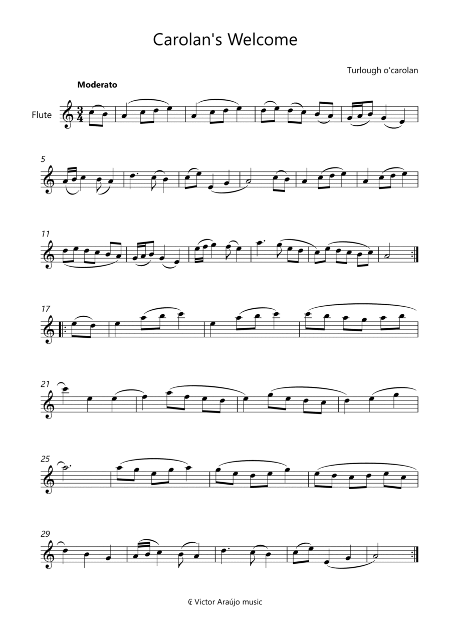 Carolan's Welcome flute Leadsheet Flute scores gallery preview page 1