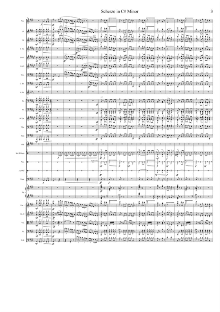 Scherzo in C# minor - Modest Petrovič Musorgskij (Orchestral version) Large Ensemble scores gallery preview page 3