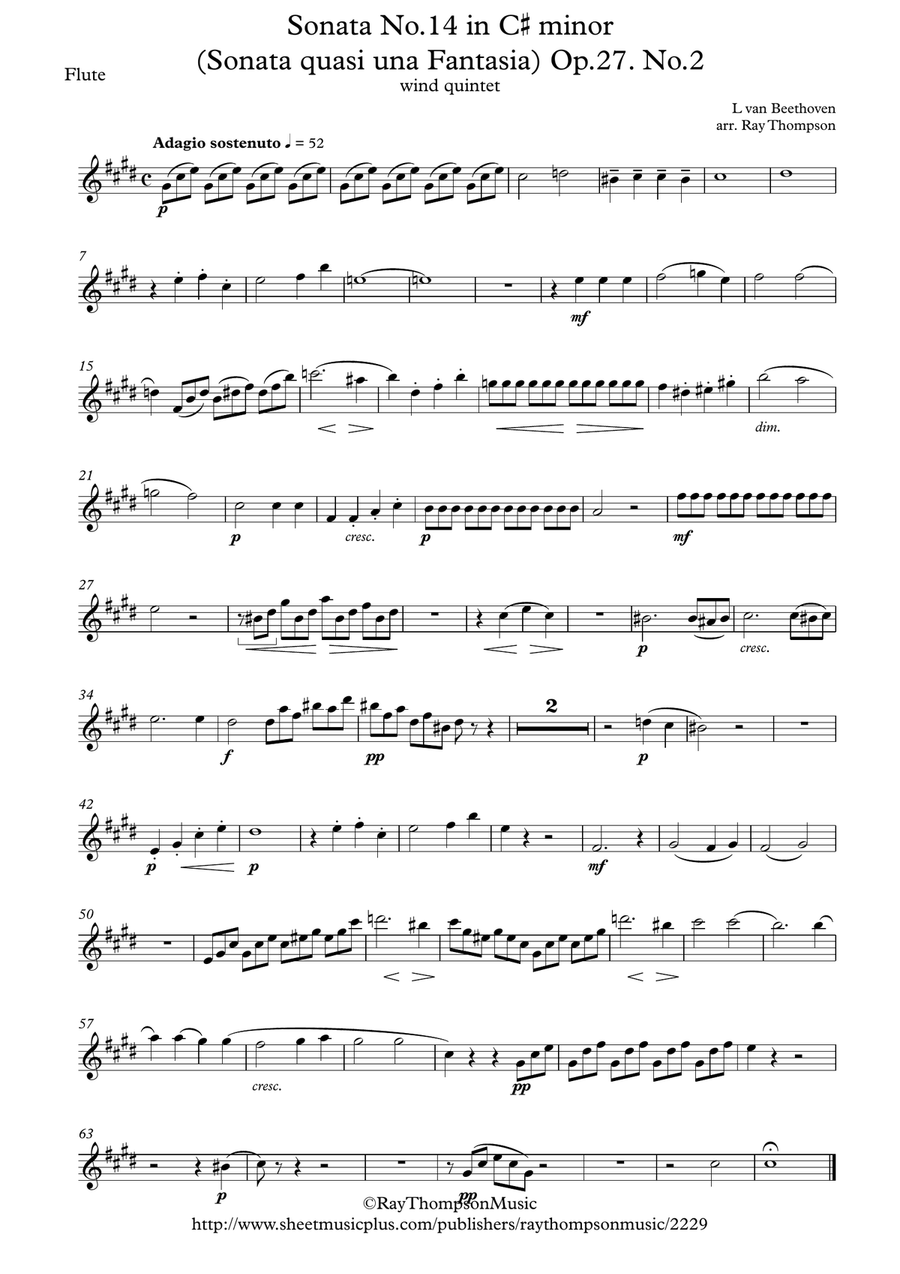 Beethoven: Piano Sonata No.14 in C# minor (quasi una Fantasia) (Moonlight) Op.27 No.2 - wind quintet Woodwind Quintet scores gallery preview page 6