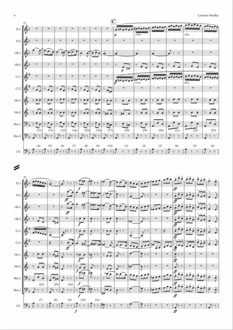 Bizet: A Carmen Medley - symphonic wind Woodwind Quintet scores gallery preview page 6