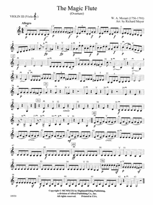 Book cover for The Magic Flute (Overture): 3rd Violin (Viola [TC])