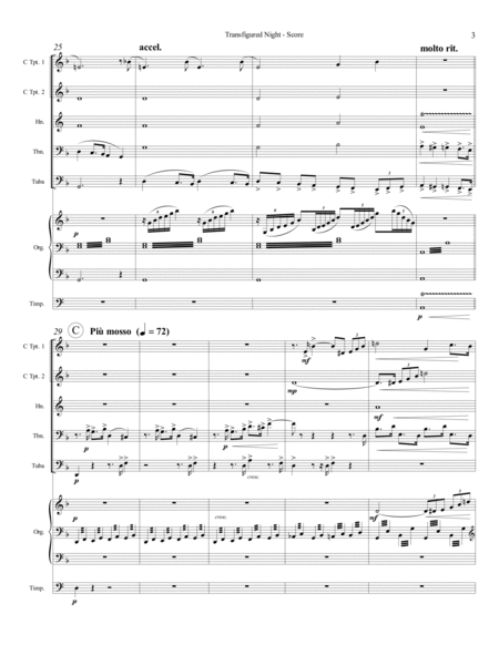 Transfigured Night (Verklärte Nacht, Op. 4) (for Brass Quintet and Organ) image number null