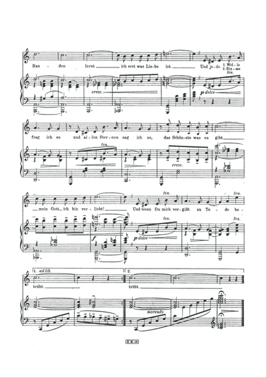 Du, nur Du hast es verstanden Piano, Vocal scores gallery preview page 3