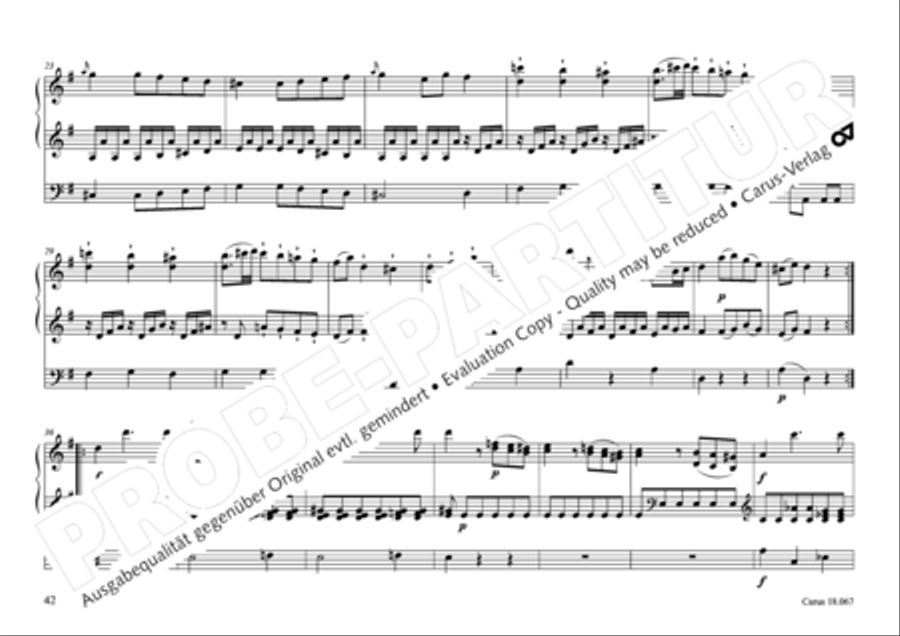 17 Church sonatas 17 Church sonatas Organ Solo scores gallery preview page 43